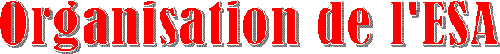 ORGANISATION DE L'E.S.A.